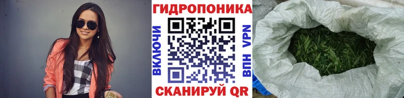 Бошки Шишки ГИДРОПОН блэк спрут онион Балашов